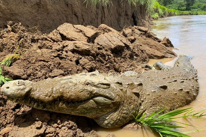 Jason Crocodile Tours