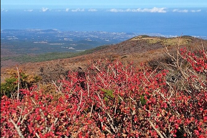 Jeju Taxi Tour KJ With Flexible Scheduling