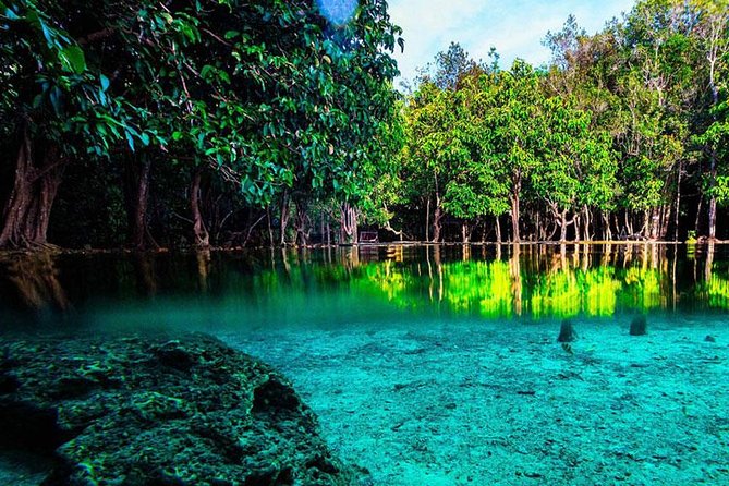 Jungle Tour to Emerald Pool, Krabi Hot Spring and Tiger Cave Temple