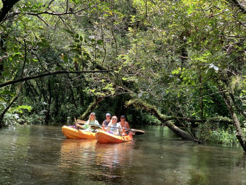 Jupiter: Loxahatchee River Scenic Kayak Tour - About the Loxahatchee River