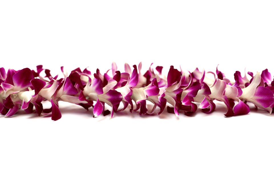 Kahului Airport: Maui Flower Lei Greeting Upon Arrival - Activity Description