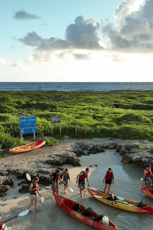 Kailua, Oahu: Popoia Island & Kailua Bay Guided Kayak Tour