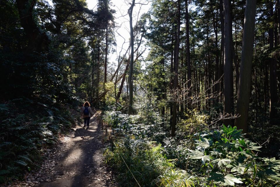 Kamakura: Daibutsu Hiking Trail Tour With Local Guide - Hiking Tour in Kamakura