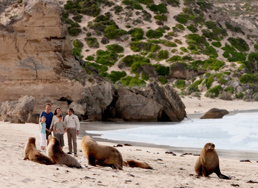 Kangaroo Island: Scenic, Nature & Wildlife Tour