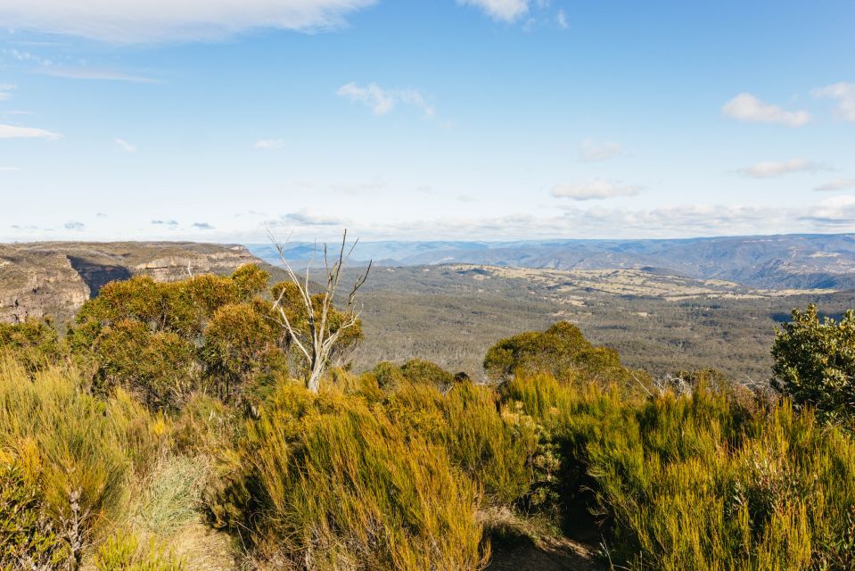 Katoomba: Lyrebird Hop-On Hop-Off and Scenic World Pass