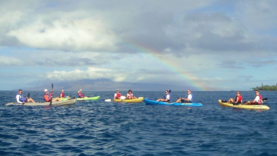 Kayaking and Snorkeling at Turtle Reef - Exploring the Coral Reefs