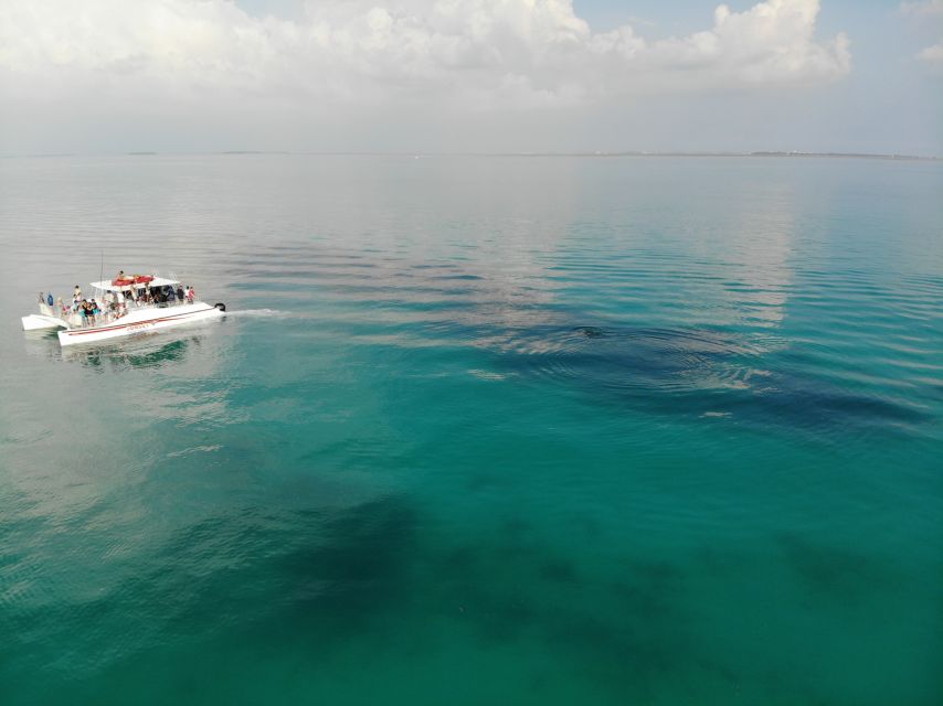 Key West: Dolphin & Snorkel Boat Tour With Sunset Option