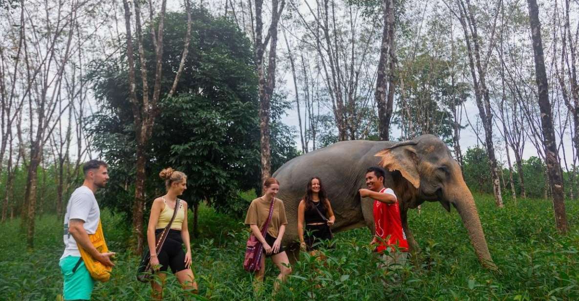 Khao Lak: Guided Walk & Feed Elephant Experience With Pickup