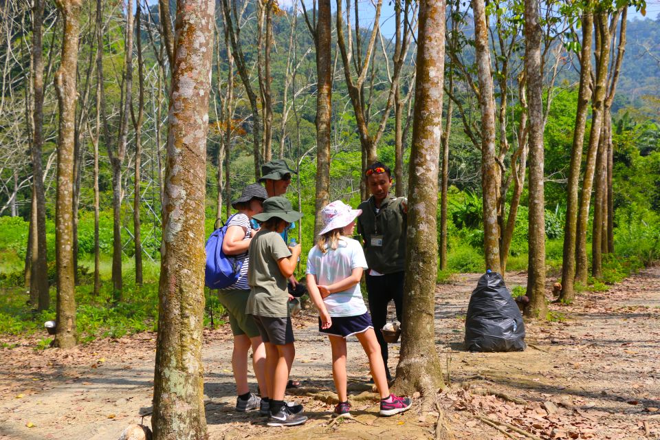 Khao Lak: Khao Sok Bamboo Rafting and Elephant Bathing Trip