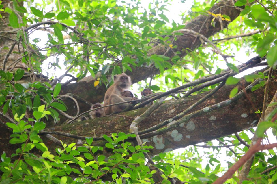 Khao Lak: Sri Phang Nga Canoe and Tam Nang Waterfall Tour