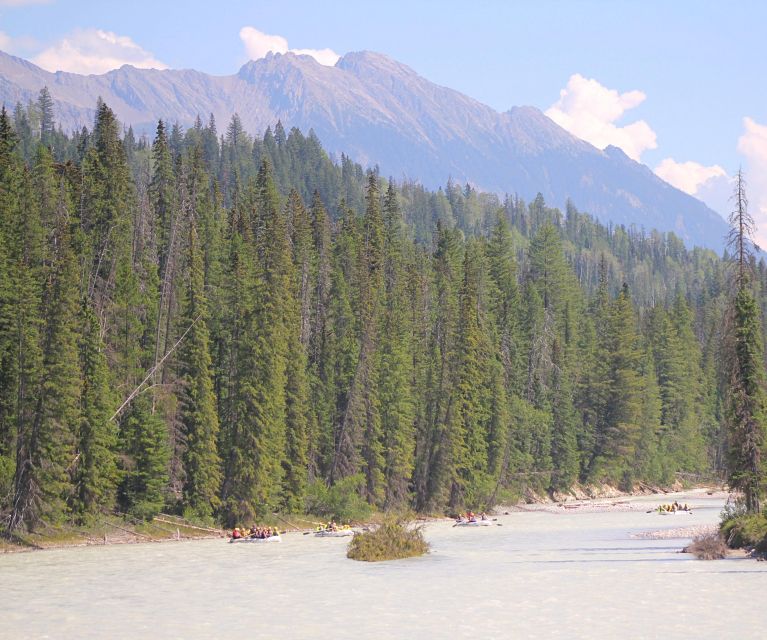 Kicking Horse River: Half-Day Intro to Whitewater Rafting