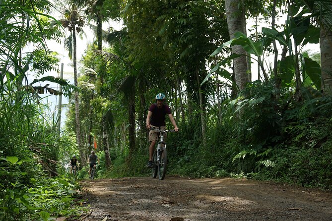 Kintamani Cultural and Nature Cycling Tour