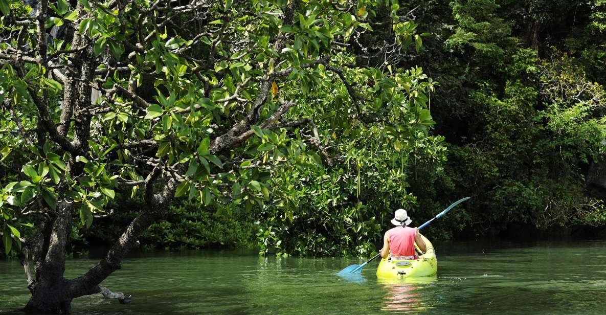 Ko Lanta: Amazon Mangrove Tour Kayaking Tour With Lunch - Tour Overview