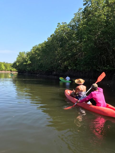 Ko Lanta: Half-Day Mangrove Kayaking Tour With Lunch