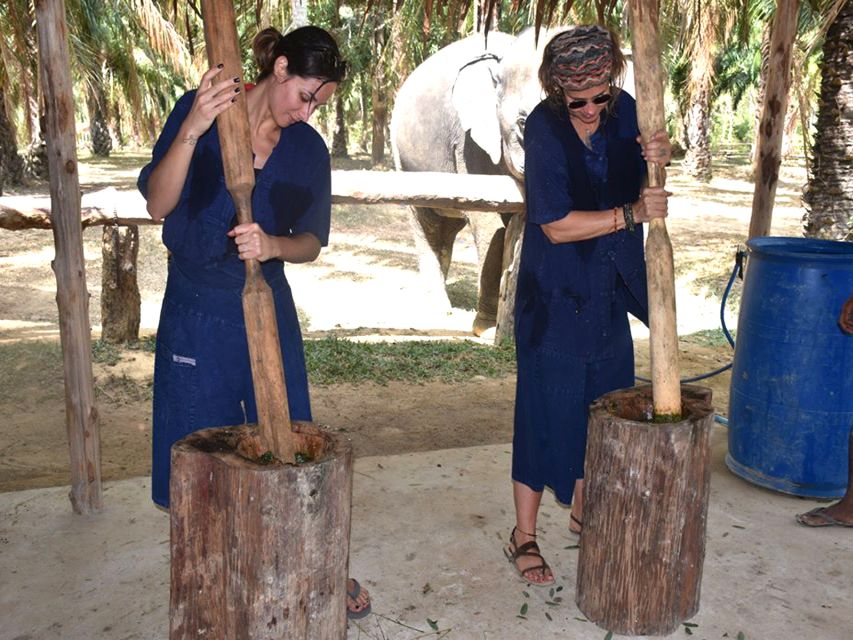 Ko Lanta Yai: Half-Day Ethical Elephant Sanctuary Tour