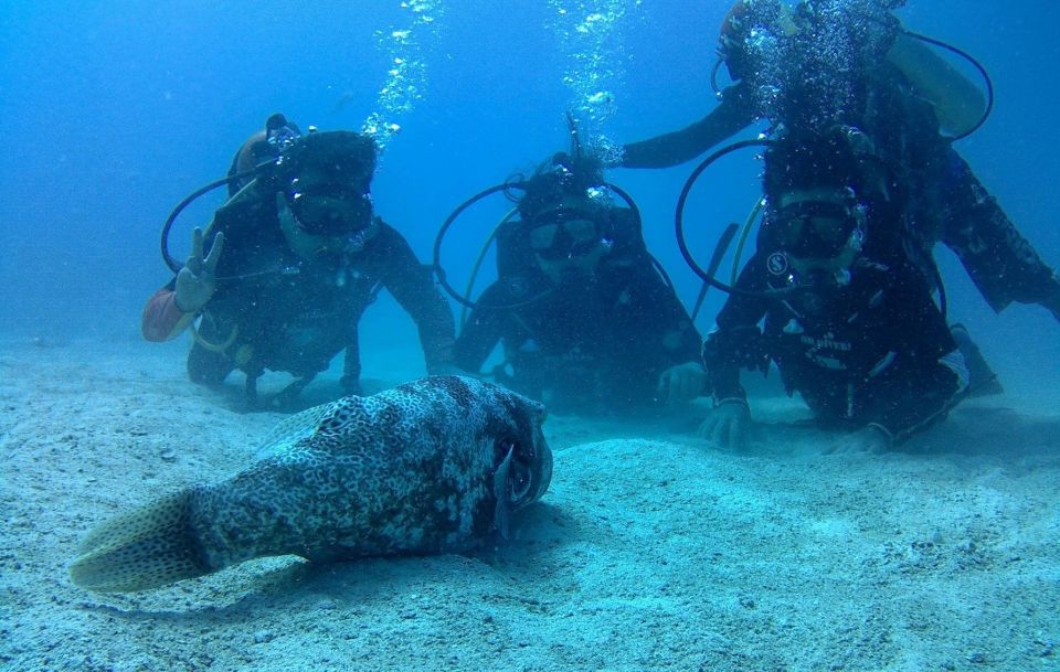 Koh Kood: Discover Scuba Diving for Beginners With 2 Dives