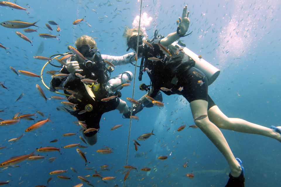 Koh Samui: Discover Scuba Diving