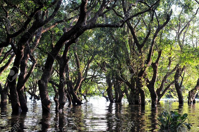 Kompong Phluk Village Tonle Sap Lake Half-Day Tour From Siem Reap