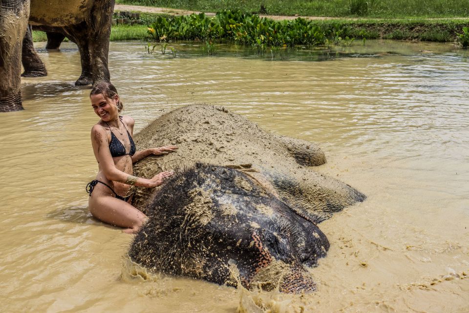 Krabi: Ao Nang Elephant Sanctuary Half-Day Tour