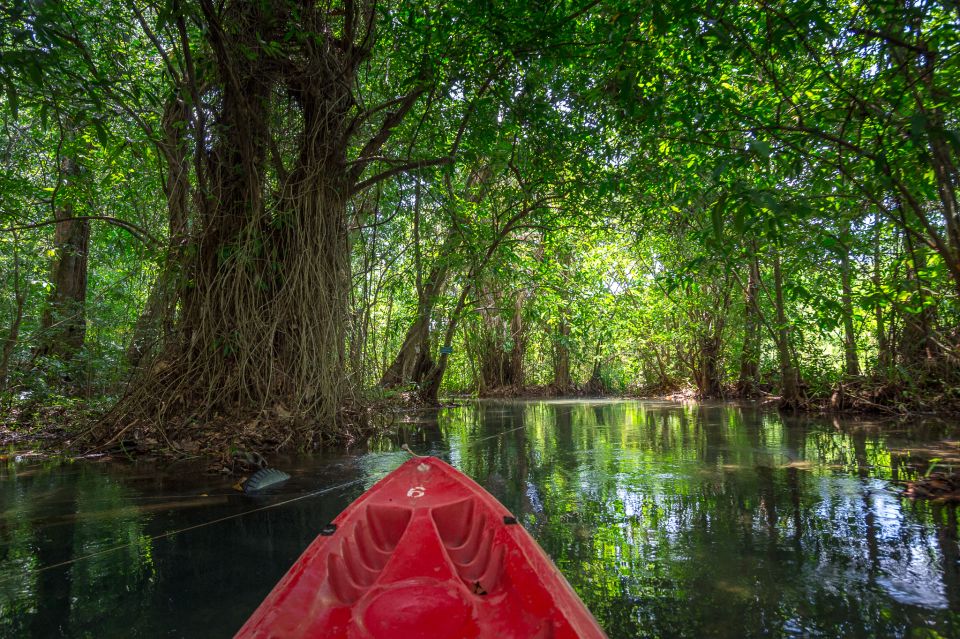 Krabi: Crystal Lagoon Kayaking and Horseback Riding Day Trip - Itinerary Overview