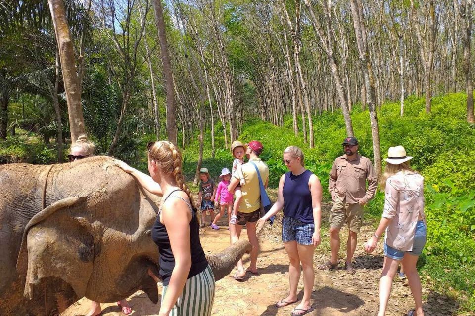 Krabi: Elephant Care House Guided Tour With Hotel Transfers - Tour Overview