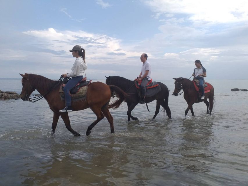 Krabi: Half-Day Kayaking and Horseback Riding Excursion