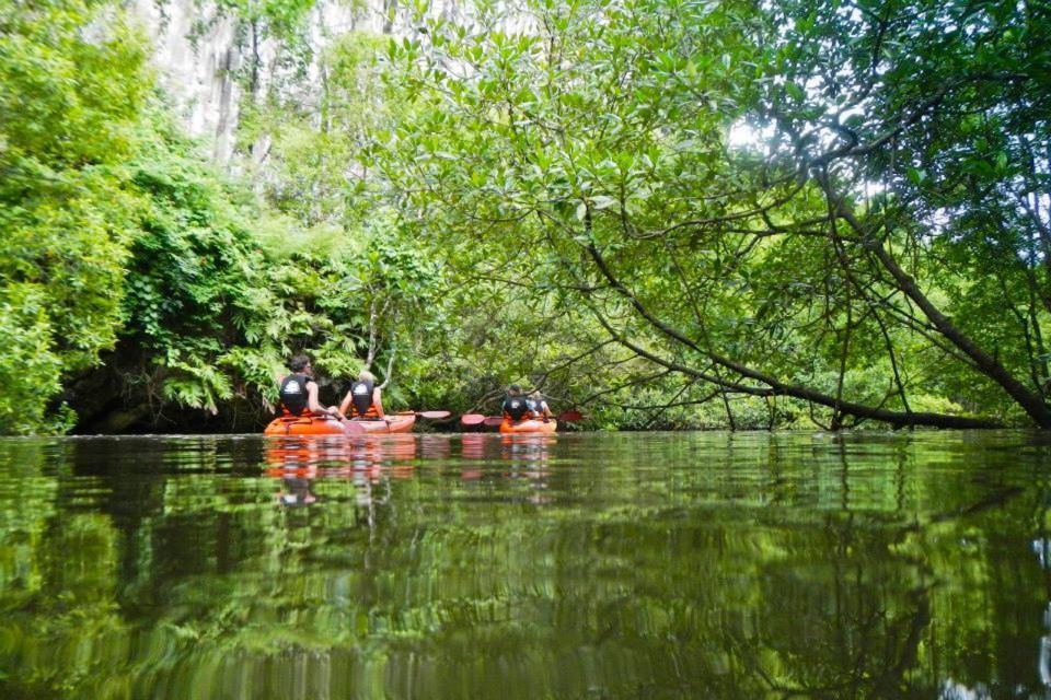 Krabi: Private Sea Kayaking in Ao Thalane and Hong Island - Activity Details