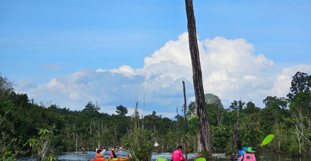Krabi: South Kayak Klong Root Kayaking Tour
