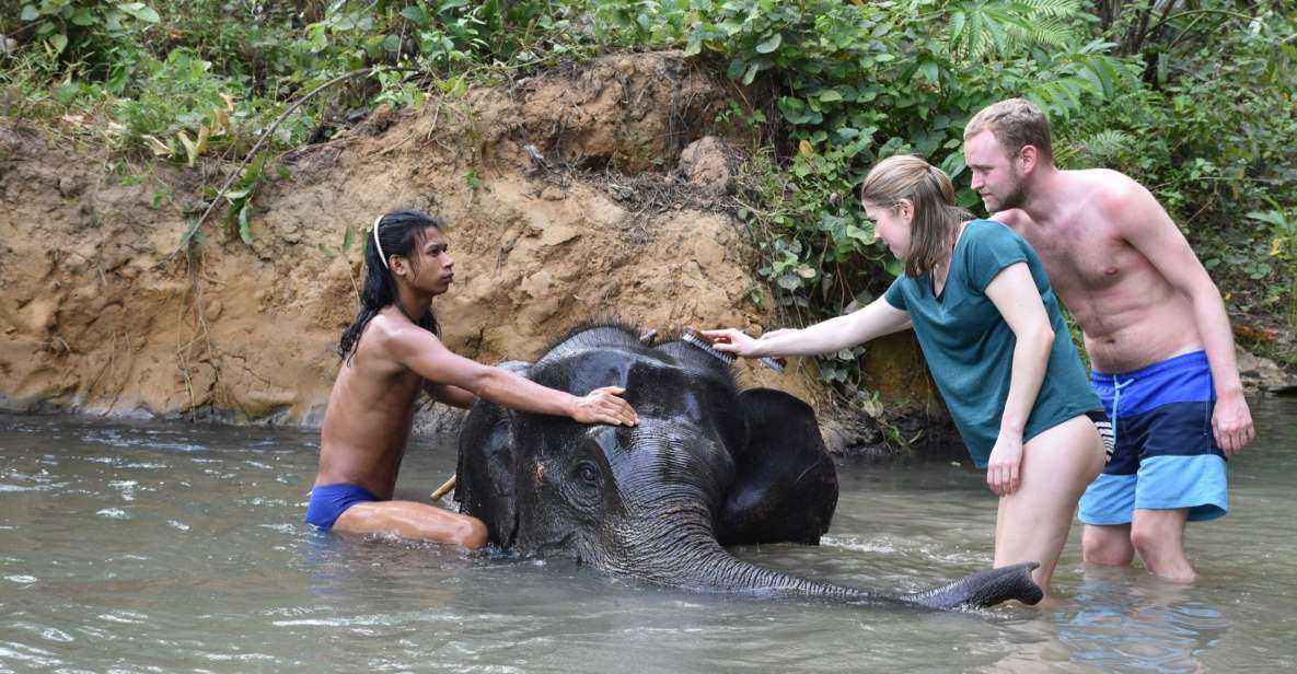 Krabi: Tour of Elephant Care House and Tiger Cave Temple