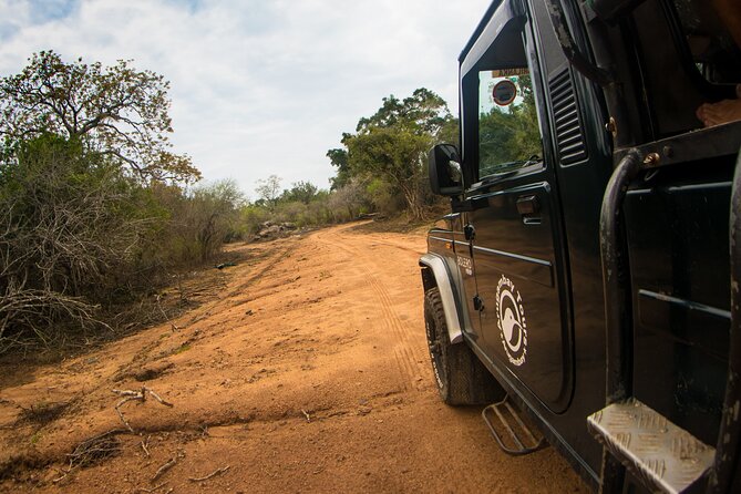 Kumana National Park Half Day Jeep Safari
