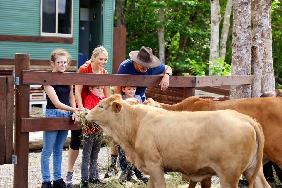 Kuranda Half Day With Petting Zoo & Horse Trail Ride Tour