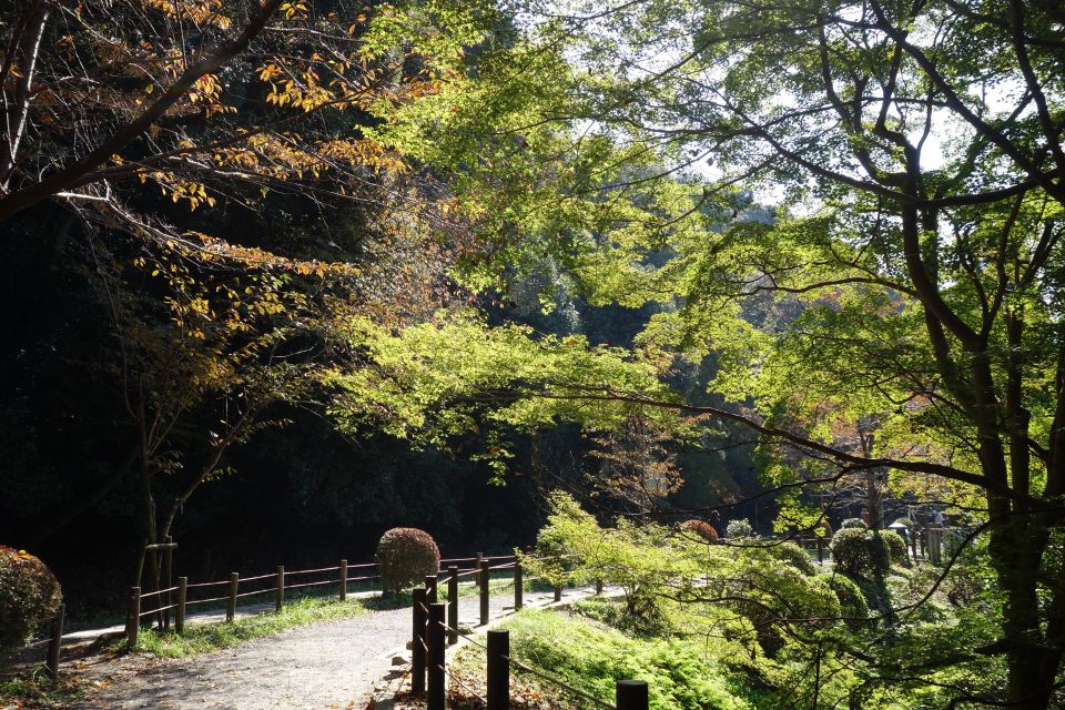 Kyoto: Ginkakuji and the Philosophers Path Guided Bike Tour