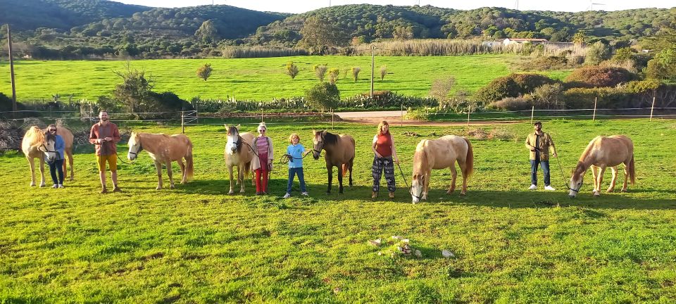 Lagos: a Walk With a Rescued Horse at the Sanctuary