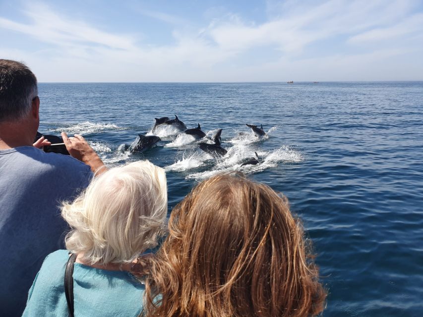 Lagos: Dolphin Watching Catamaran Cruise