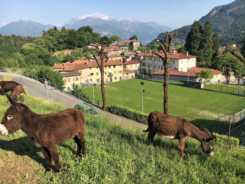 Lake Como to Lake Lugano: E-Bike Three Panoramic Lakes