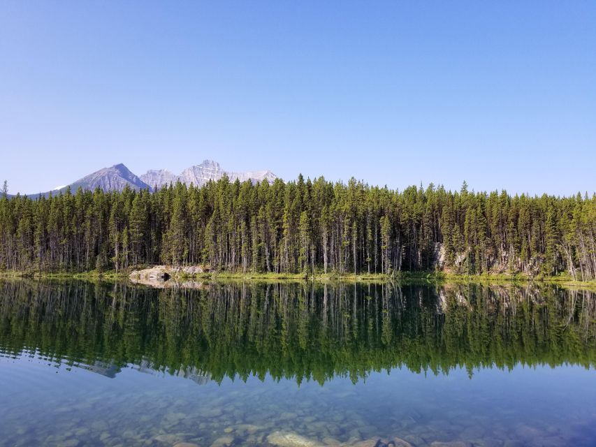 Lake Louise, Moraine Lake and Peyto Lake Full Day Tour