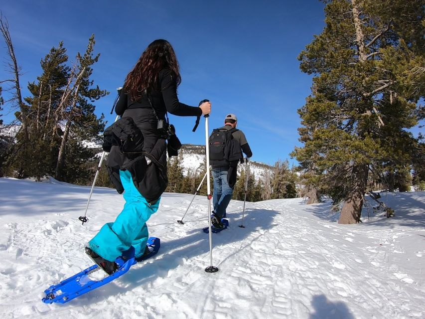 Lake Tahoe: Sunset Snowshoe Trek With Hot Drinks and Snacks