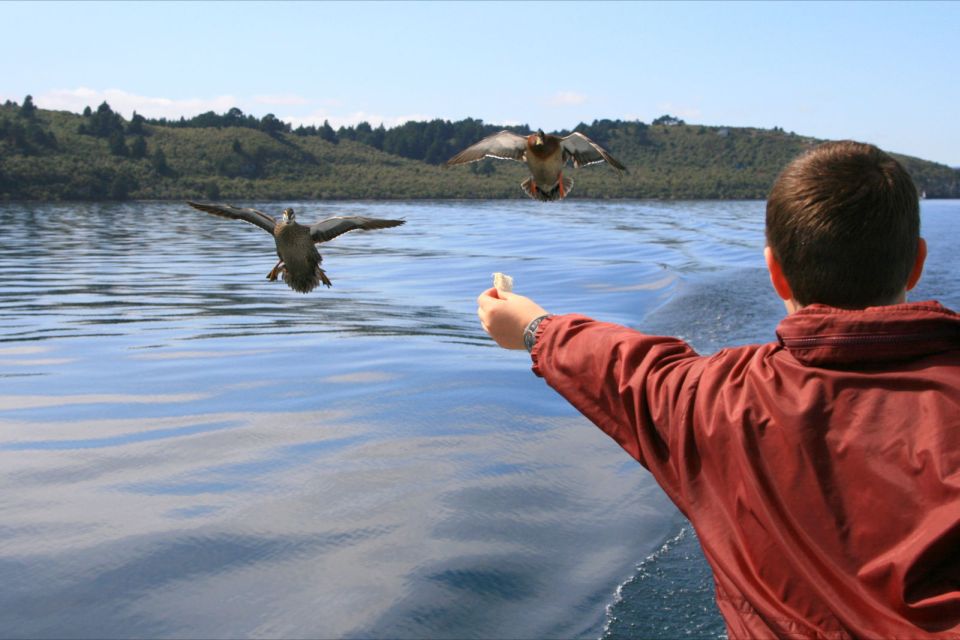 Lake Taupo: Māori Rock Carvings Scenic Boat Cruise