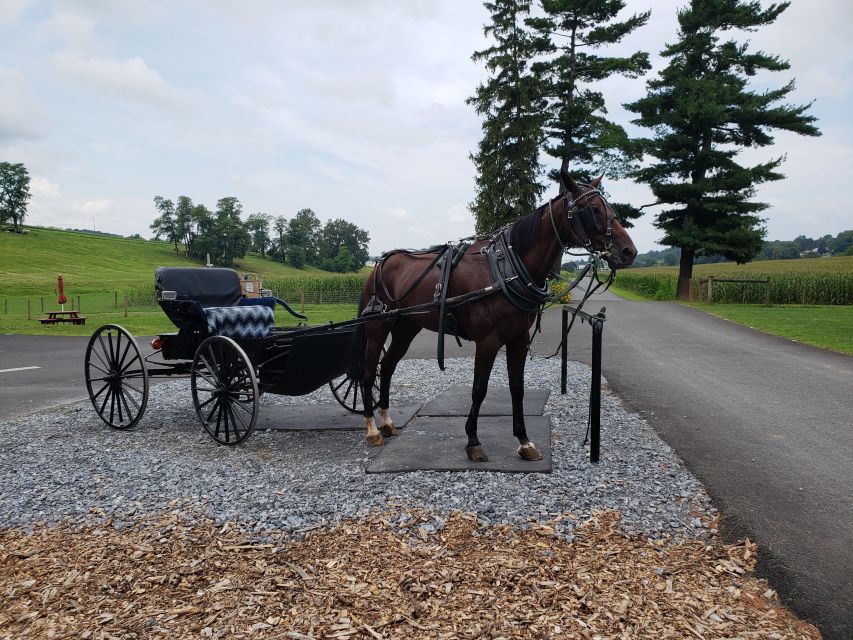 Lancaster: Downtown & Amish Country Authentic Lancaster Tour