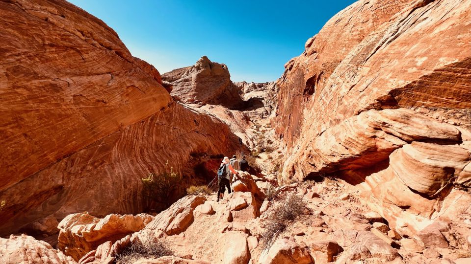 Las Vegas: Valley of Fire Scenic Tour