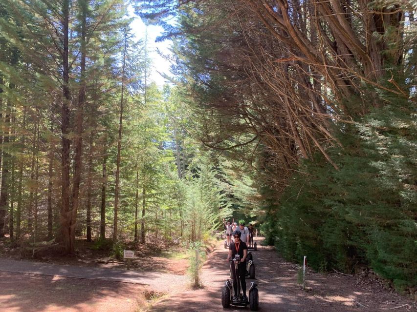 Launceston: Hollybank Forest Guided Segway Tour