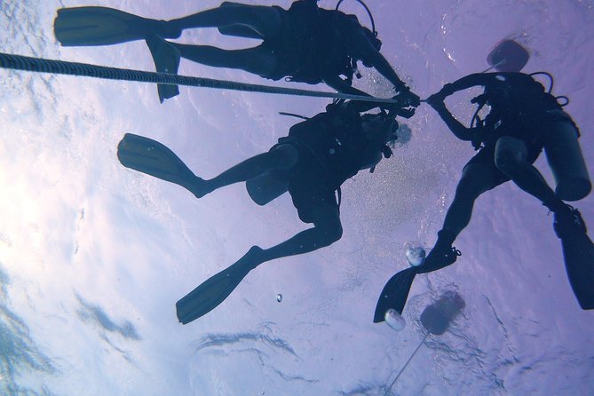 Learn to Dive With a PADI Open Water Diver Course (3 Days) in Kota Kinabalu