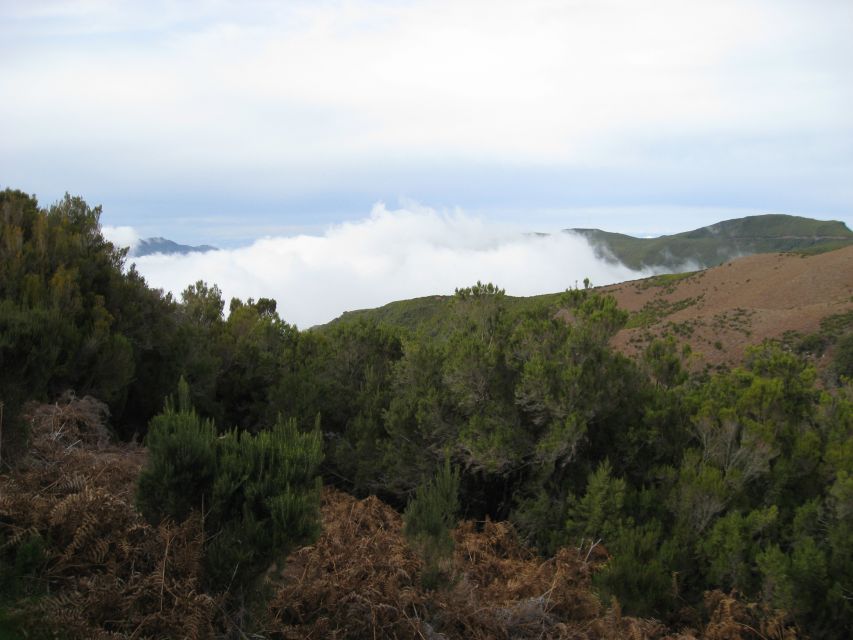 Levada Do Alecrim (Madeira Lakes) Full-Day Walk