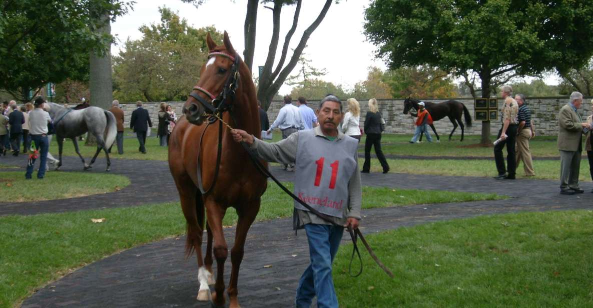 Lexington: Horse Farm Tour and Keeneland Race Track Visit