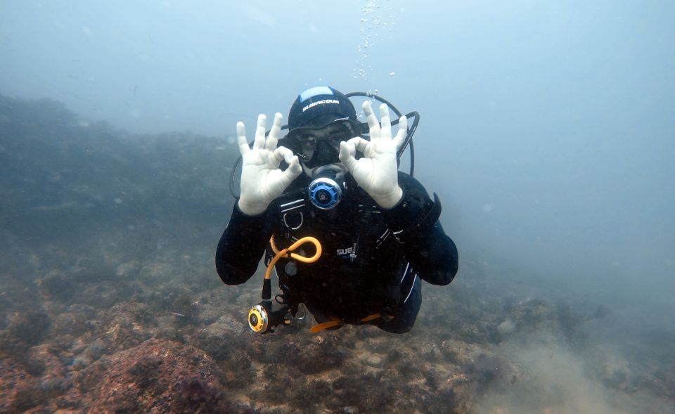 Lisbon: Become a Scuba Diver in 3-Days