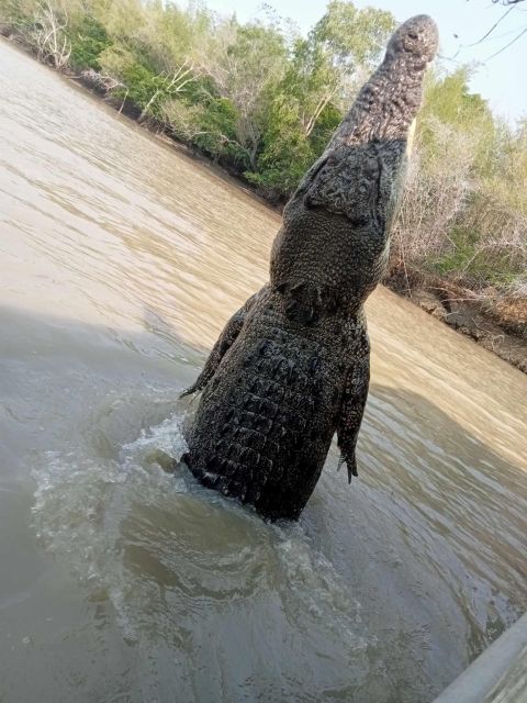 Litchfield Tour and Crocodiles – the Best Private Tour.