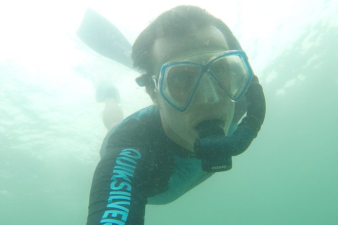 Local Reef Snorkelling and Deserted Beach