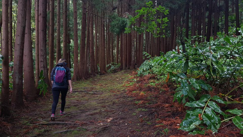 Lomba De São Pedro: Waterfall Hiking Tour With Tea Tasting