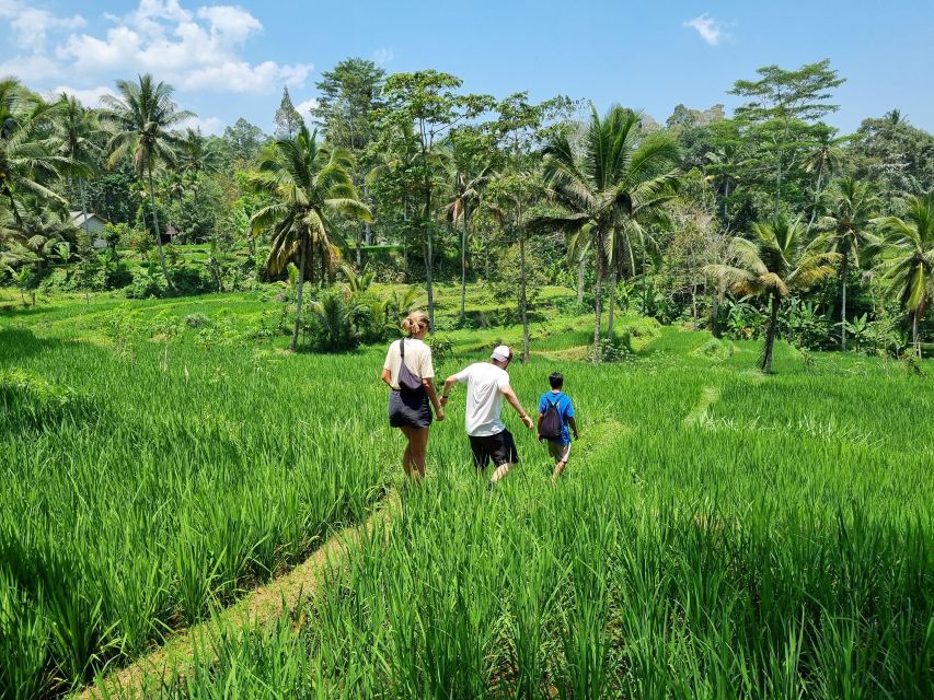 Lombok: Rice Terrace Walking Tour & Benang Kelambu Waterfall