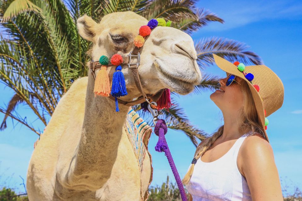 Los Cabos: Arch Tour by Speedboat and Camel Ride on Beach